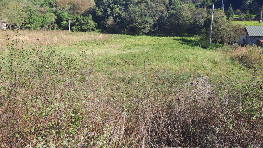EXKLUZÍVNE - na predaj pozemok v obci Olejníkov.