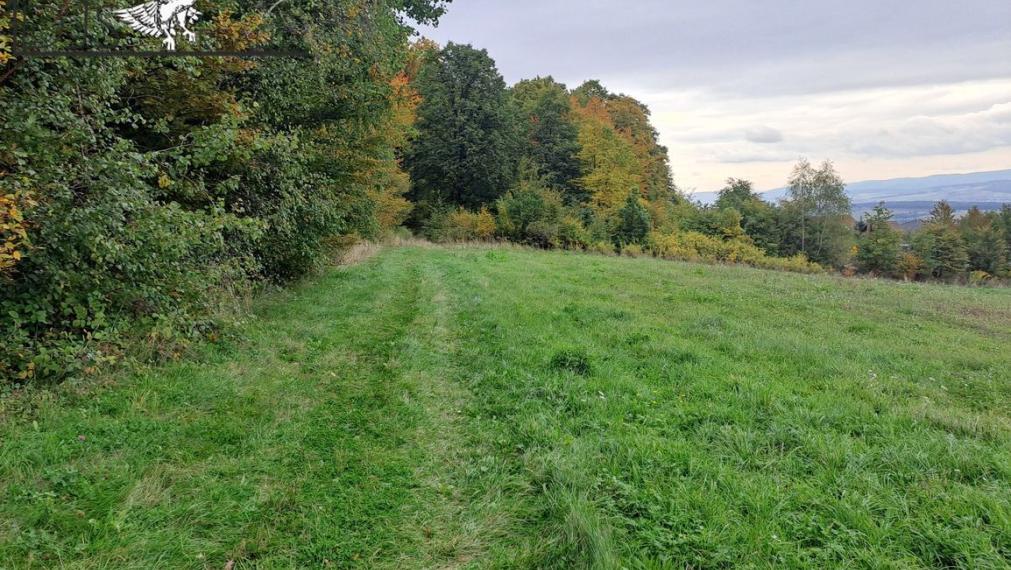 Na Predaj- jedinečné pozemky, Žehňa.