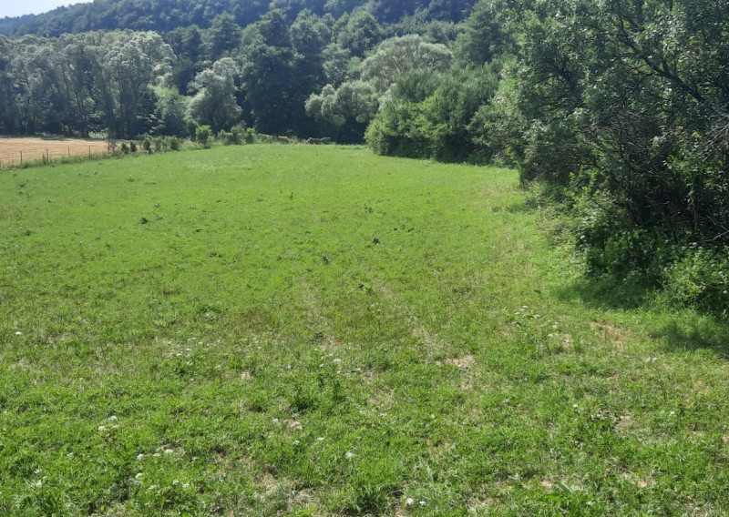 Pozemok